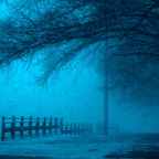 My Journey with Panic Disorder